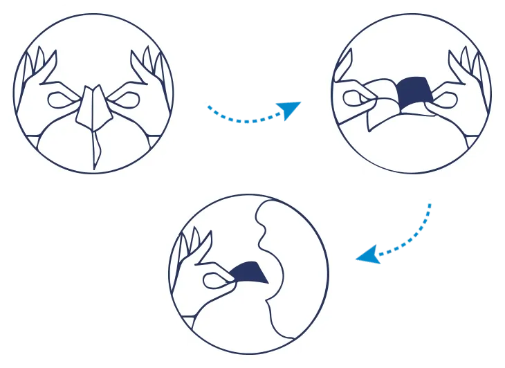 Oral Peptide Biostrips